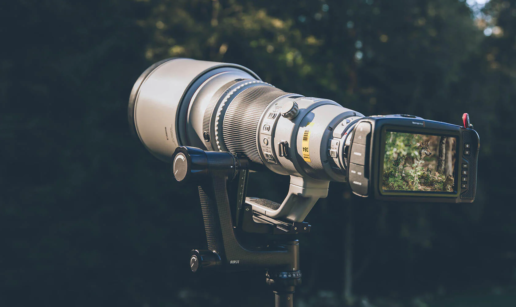 SIRUI PH-Series Carbon Fiber Gimbal Head (PH-10) - Image 15